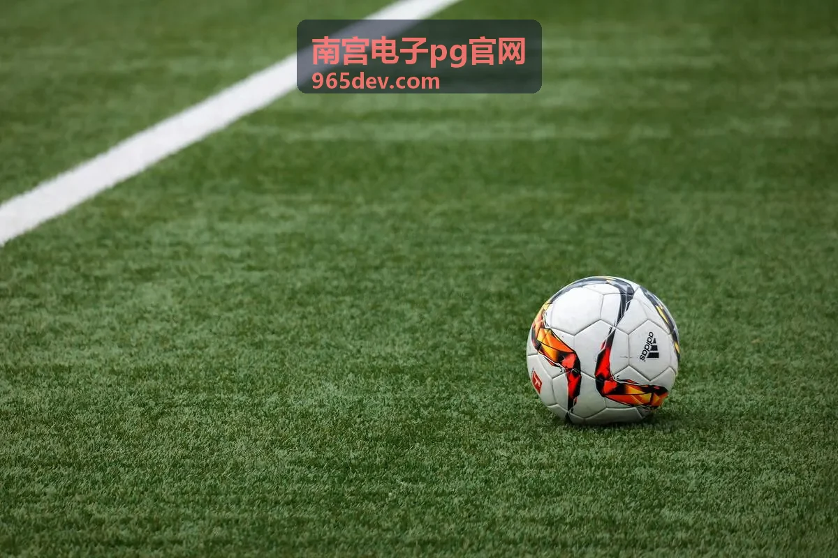 南宫电子pg官网嘉宾李澈头像